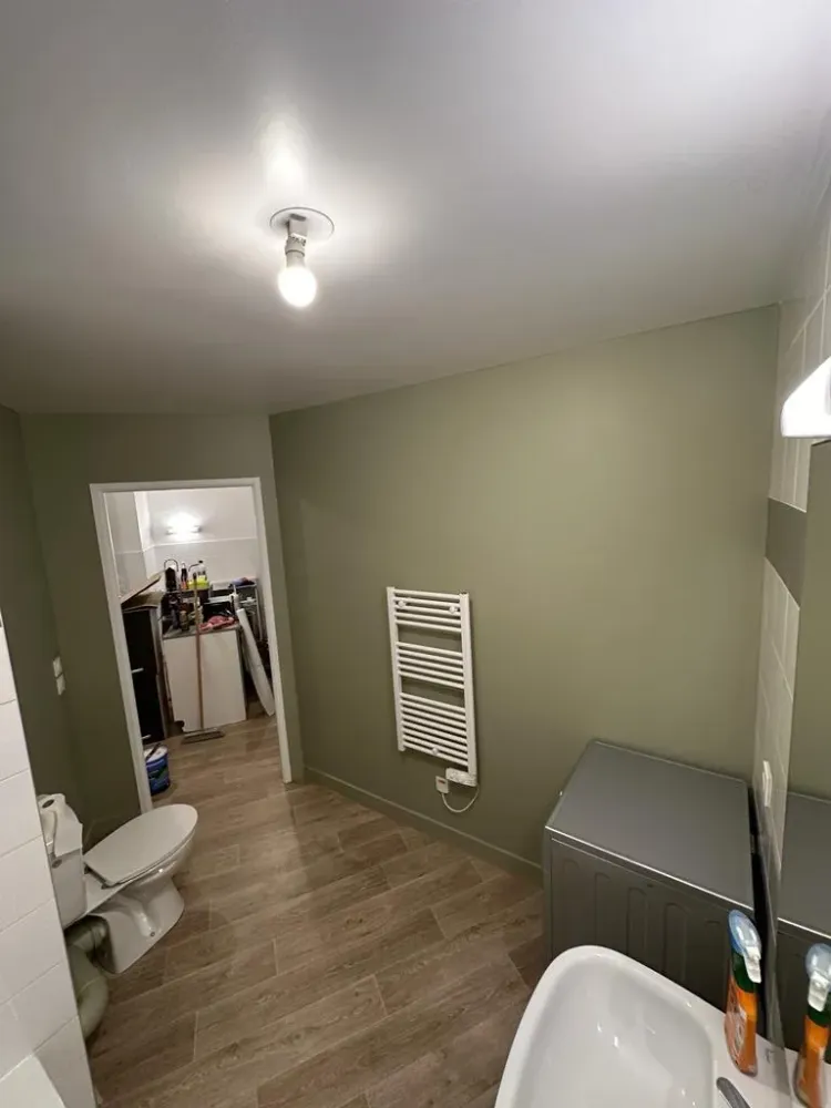 LB Peinture - travaux peinture (3)