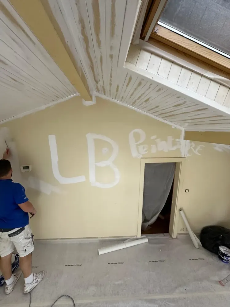 LB Peinture - isolation (3)