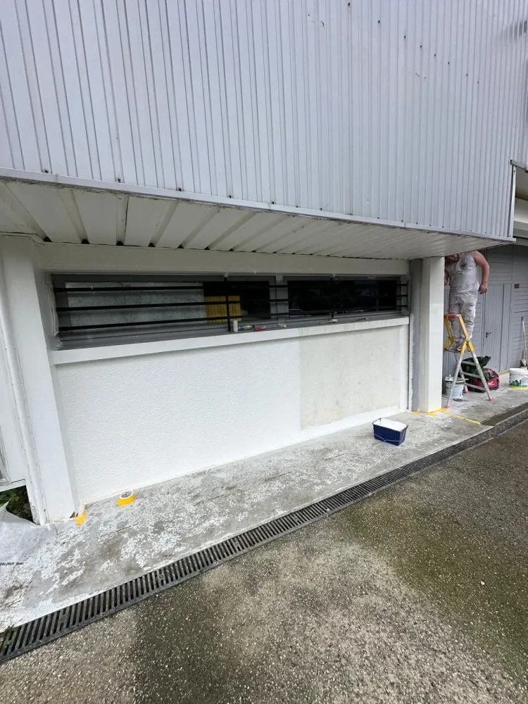 LB Peinture - Renovation (8)