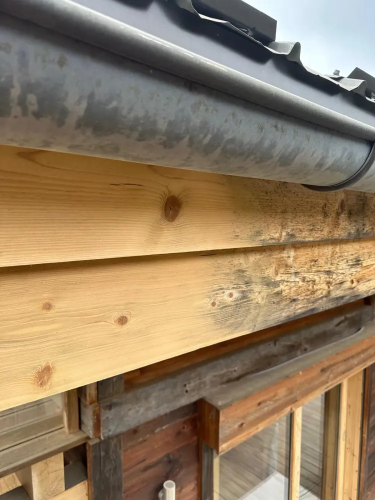 LB Peinture - Renovation (18)