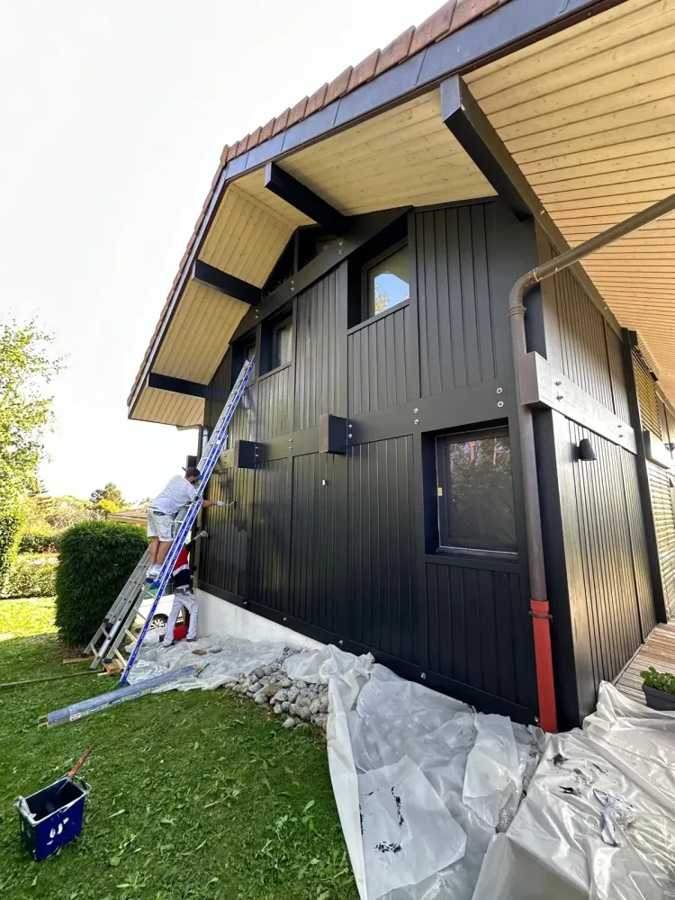 LB Peinture - Renovation (31)